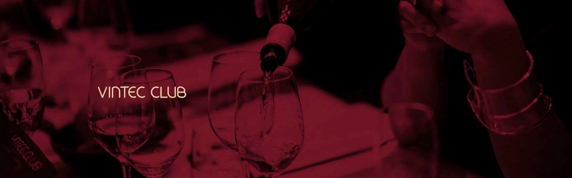 Elevate your wine experience