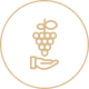 我們關心您的藏酒