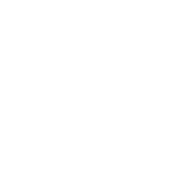 Made in Europe