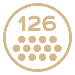 feature icon