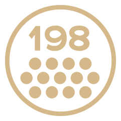 feature icon