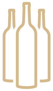 feature icon